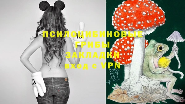 наркотики Богданович