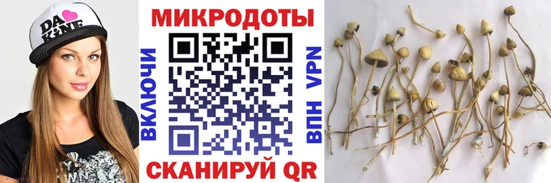 Псилоцибиновые грибы мухоморы Ессентукская